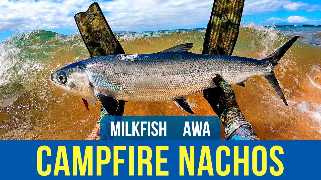 Campfire Fish Nachos – Milkfish Catch and Cook