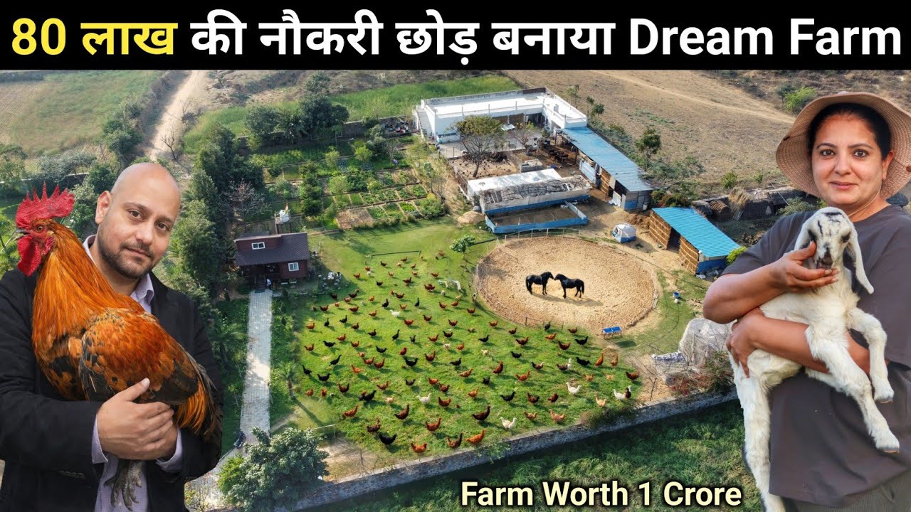 80 लाख सालाना की नौकरी छोड़ Husband Wife ने बनाया Integrated Goat & Poultry Farm