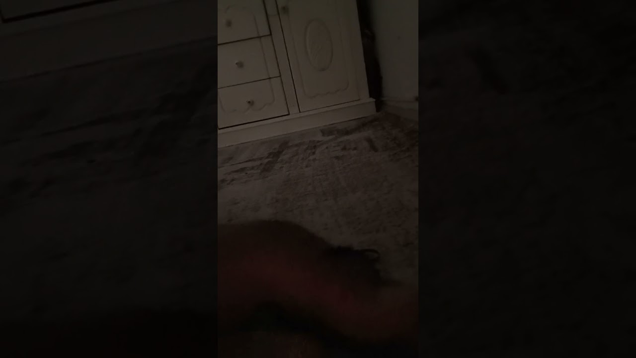 güzel uyku sesinde uyku seansı güzel  kapak sesinde iyi uykular Türkçe ASMR