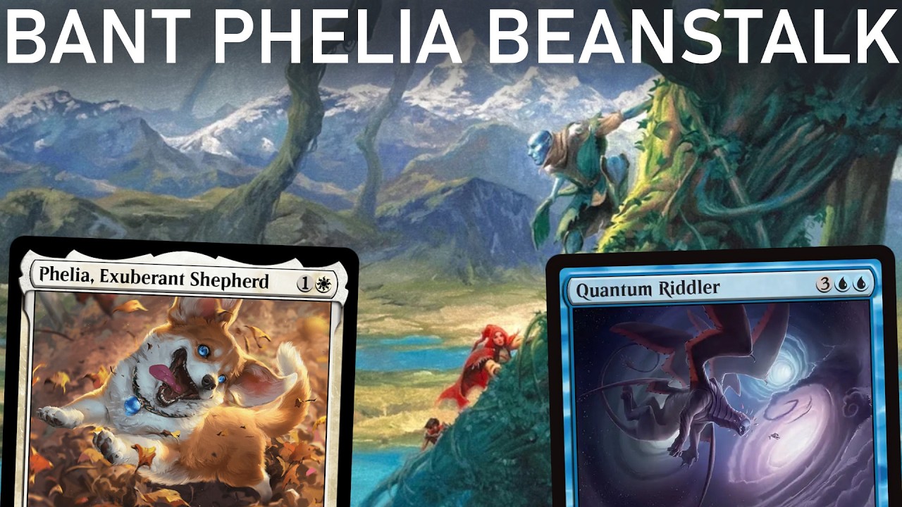 DOG BEAN ALLIANCE! Legacy Bant Phelia Beanstalk Control. MTG
