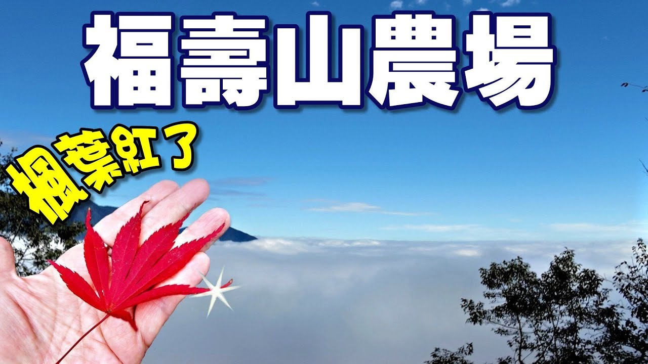 20251105 秋遊台灣小瑞士，白雲紅葉美如詩|台七甲|思源埡口|梨山|福壽山農場|松廬|鴛鴦湖