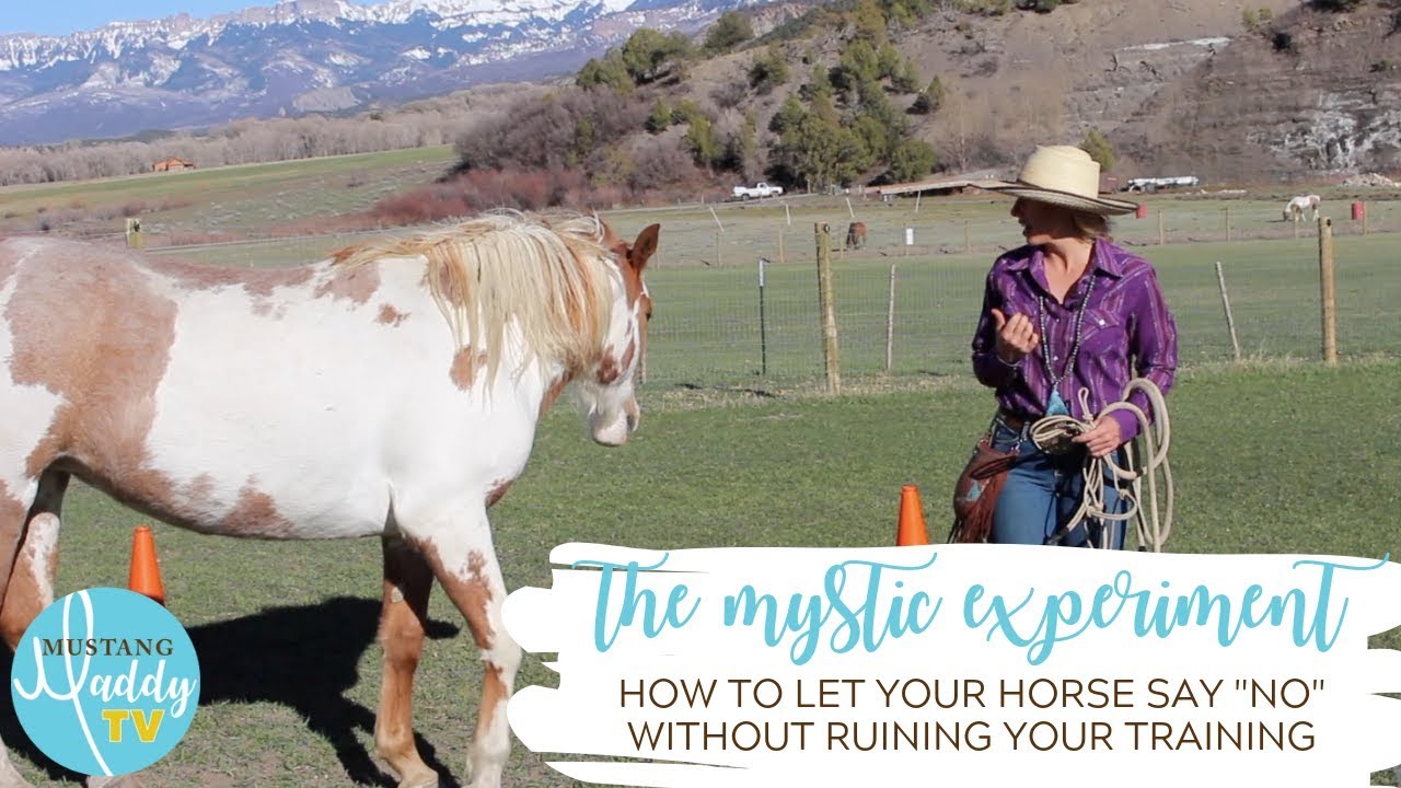 How to Let Your Horse Say 