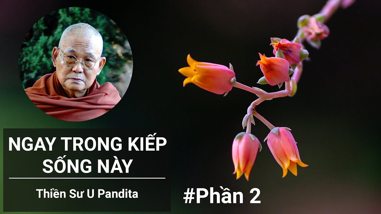 Ngay Trong Kiếp Sống Này (Phần 2/2) - Thiền Sư U Pandita