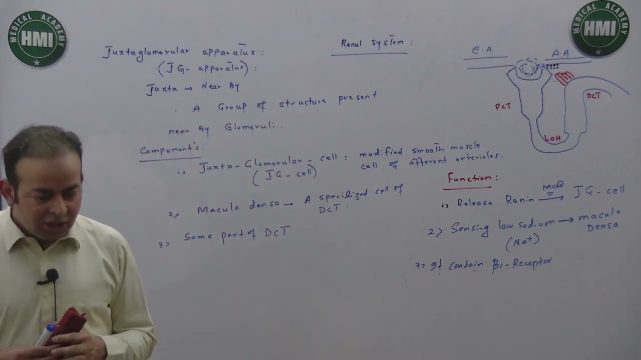 2 Renal System-Physio- Juxtaglomerular Apparatus & Starling Forces Of Filtration (Part-1).