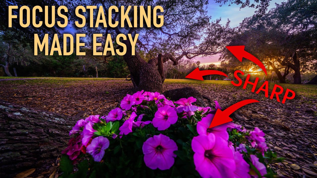 Secret Landscape Editing Tricks: Focus Stacking and Dodge & Burn!