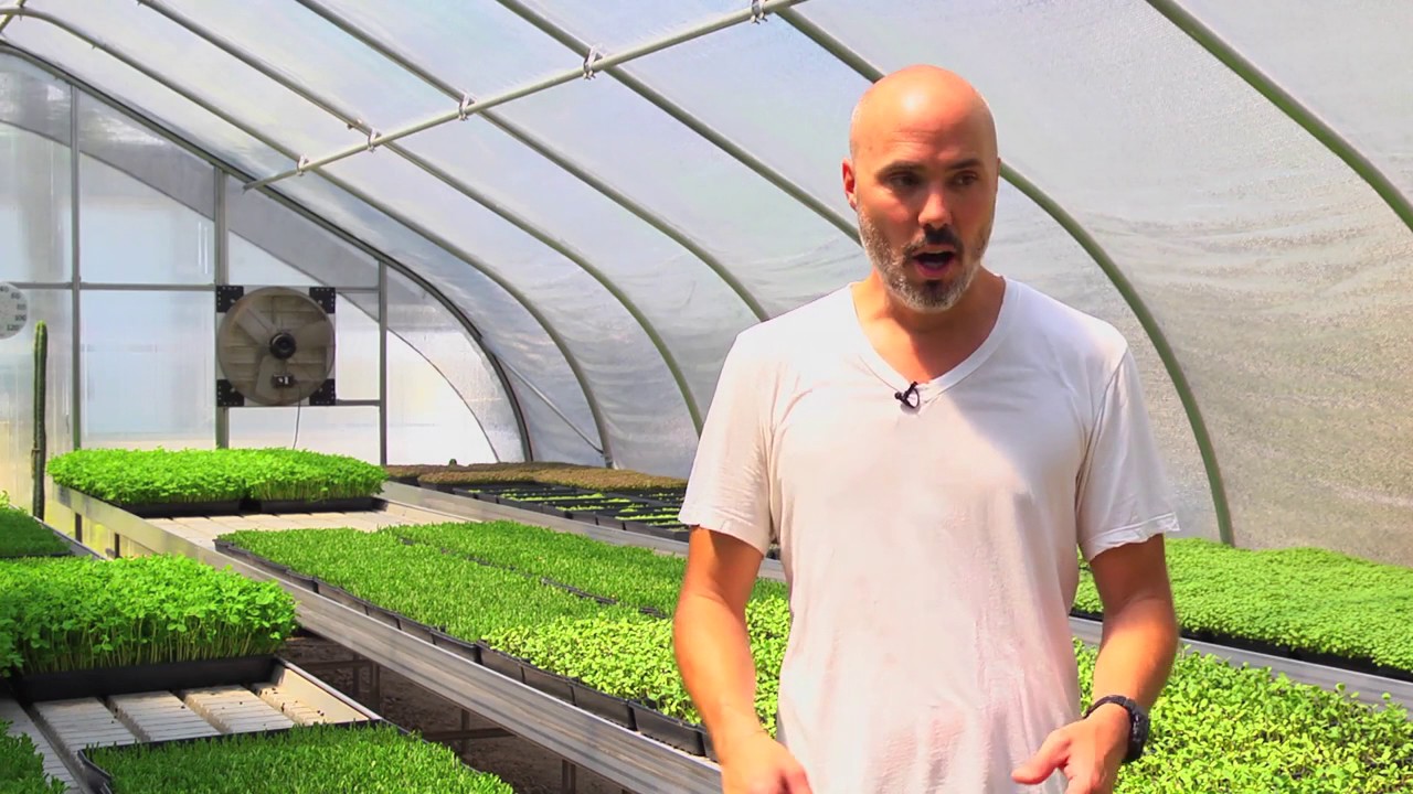 Good Water Farms, A Modern Microgreens Urban Farm