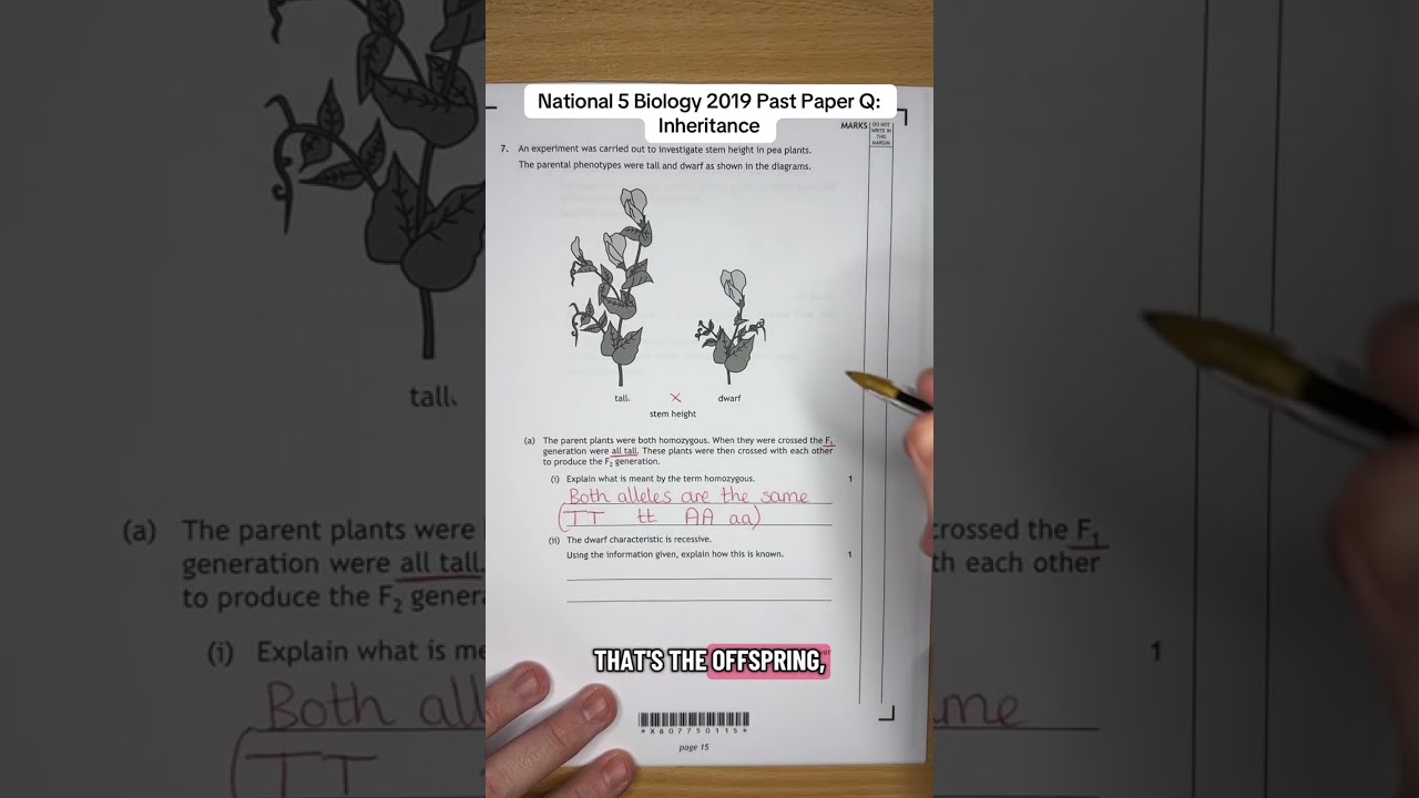 National 5 Biology 2019 Past Paper Q: Inheritance