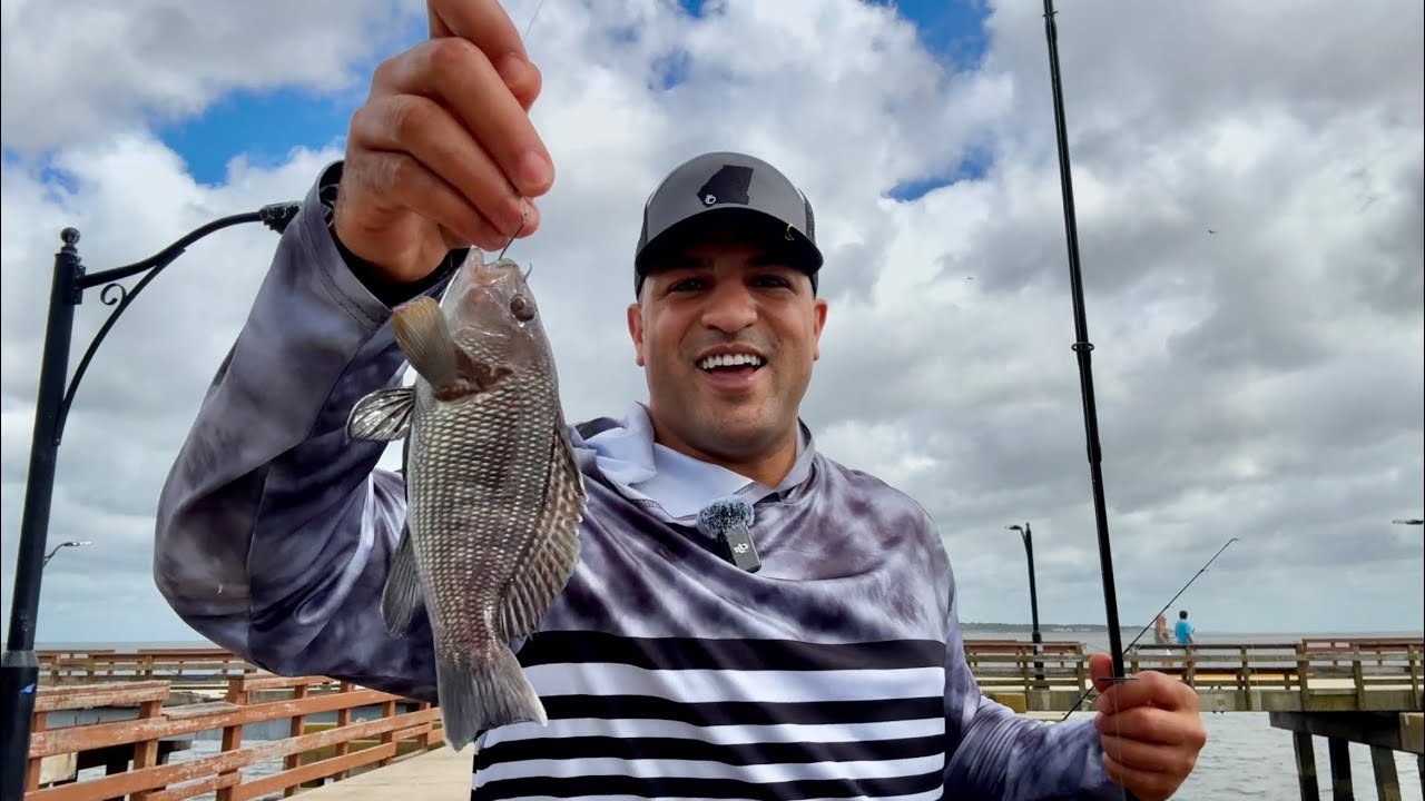 Live Shrimp Success! Pier Fishing St. Simons GA (Shark + Multi-Species)