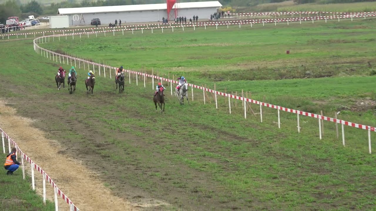 Cazin -Trka vlada USK - 2000m 4g i st - 27.9.2025 - Mercurio