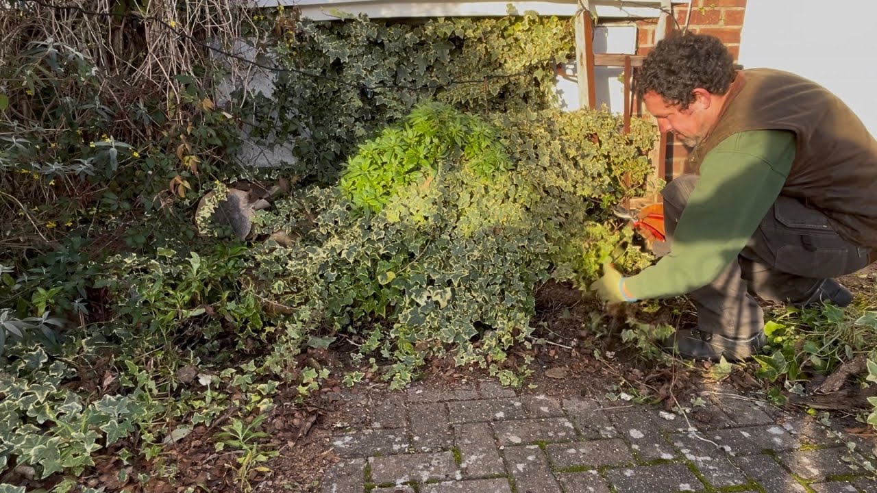 My own front Garden was becoming a Mess!!