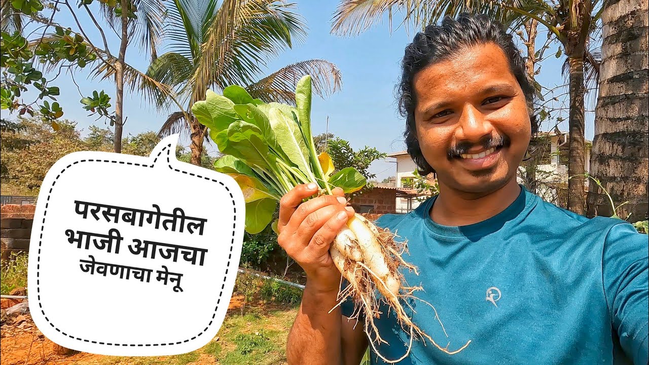परसबागेतील भाजी.. गेलेलो मूळ घरी.. मनुची मस्ती..#dailyvlog #vlog #villagelife #marathivlog #farming 
