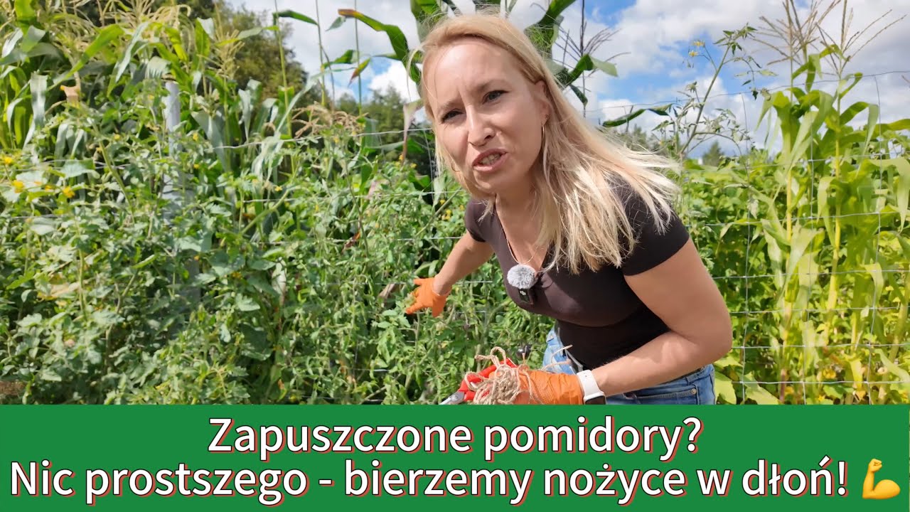 Masz busz pomidorowy? Bierz nożyce i tniemy razem! 😅💪💪