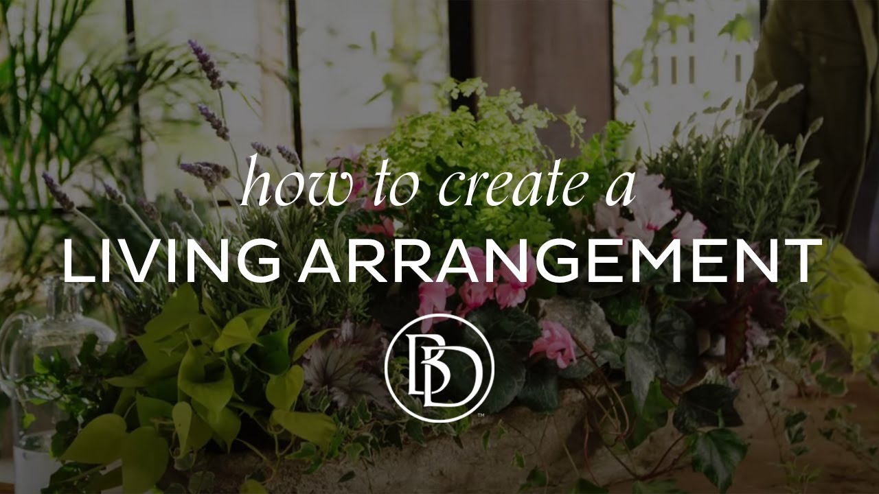 How to Create a Living Arrangement with Eddie Ross
