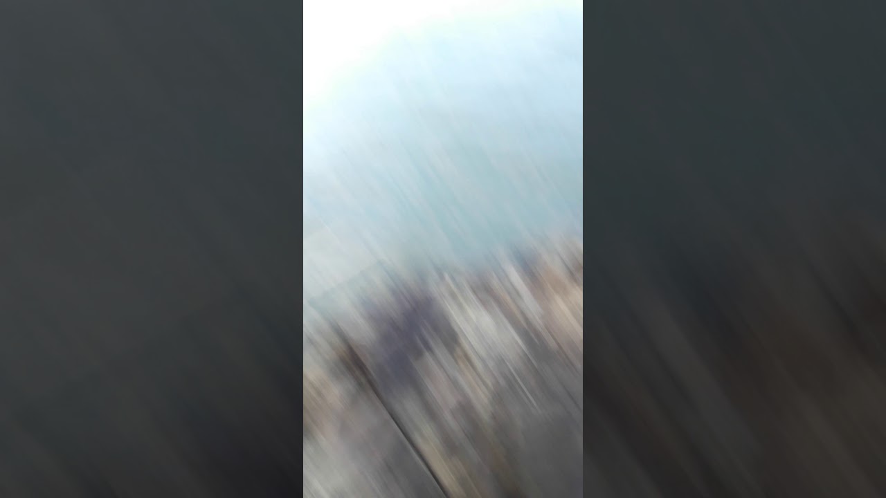 Grandes sargos a ca&ntilde;a de mano