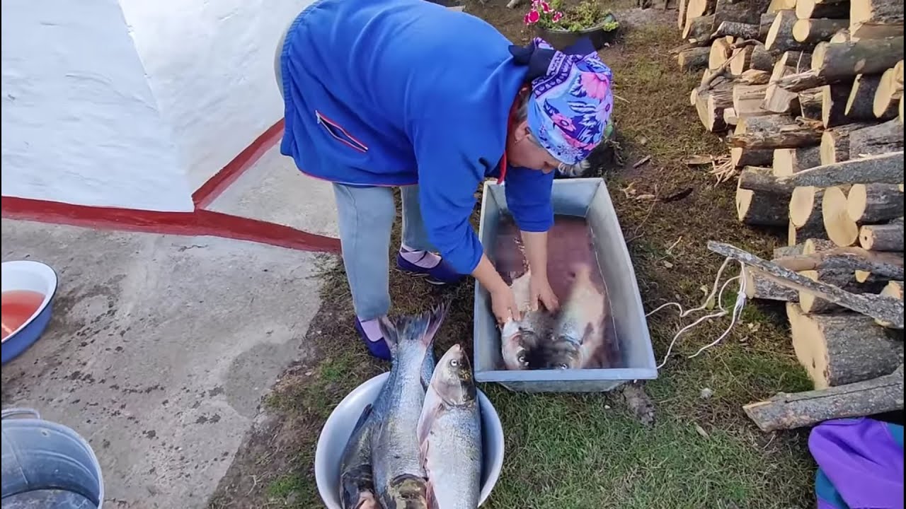 Украинское село🌻Чистим рыбу 🌻Приехала Лариса с семьёй