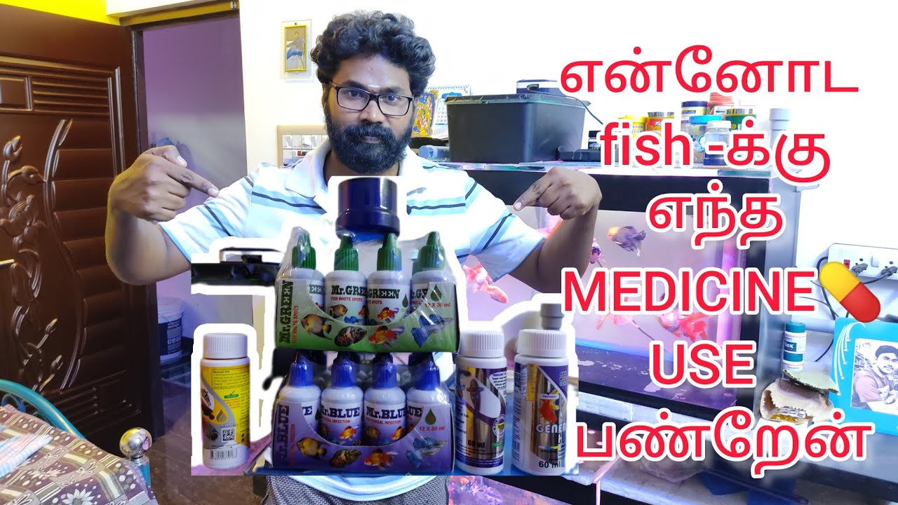 How to choose fish medicine💊 | உங்க மீனுக்கு எந்த medicine பண்றீங்க| #fish #aquarium#medicine #video