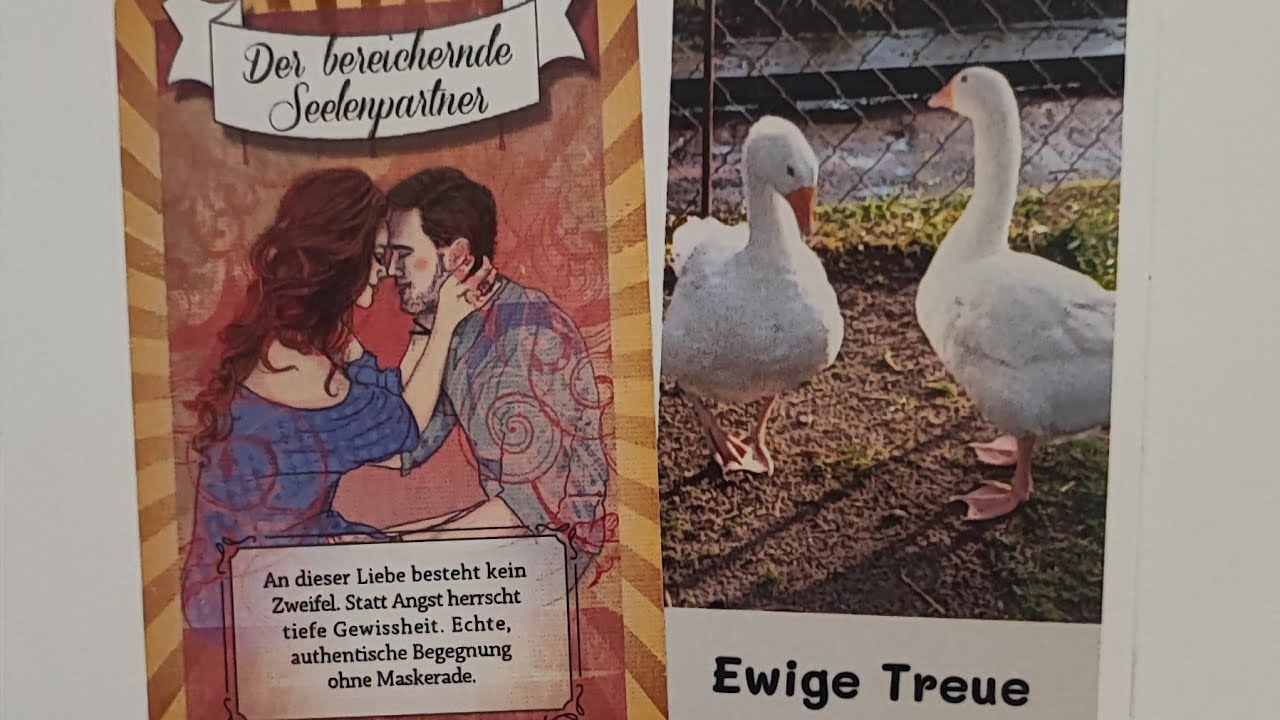 😯🎇Es hat geknallt 💥🌠1000 mal ist nix passiert..💘👩‍❤️‍💋‍👨Doch nun hat es Zoom gemacht😍💓❤️‍🔥🎁🎉