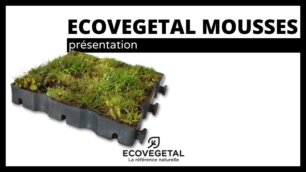 Parking perméable végétalisé : la solution ECOVEGETAL MOUSSES