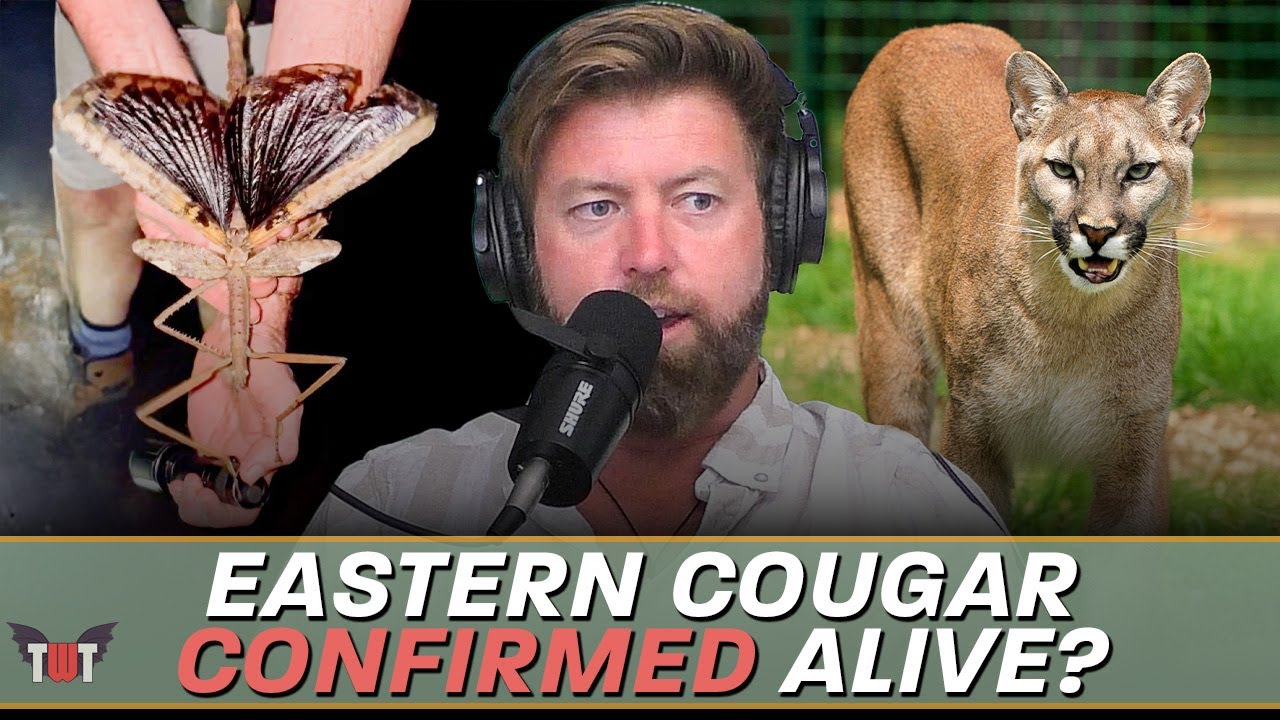 Eastern Cougar Found, Autralia's Heaviest Insect Discovered, and Bucket List Trips