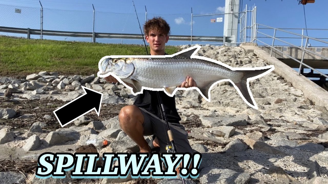 Fishing a Spillway for BIG Tarpon and Snook