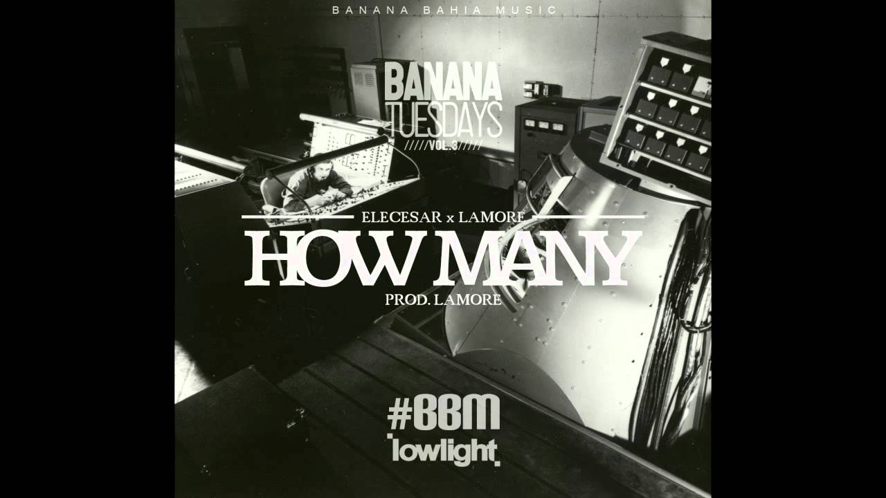 Elecesar & Lamore - How Many
