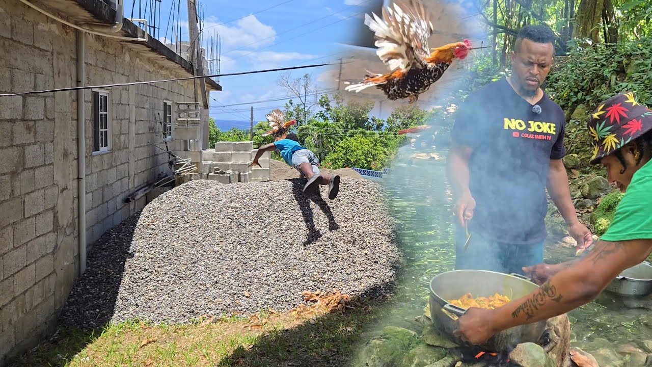 Catching wild fowl | Curry chicken at the river, epic adventure