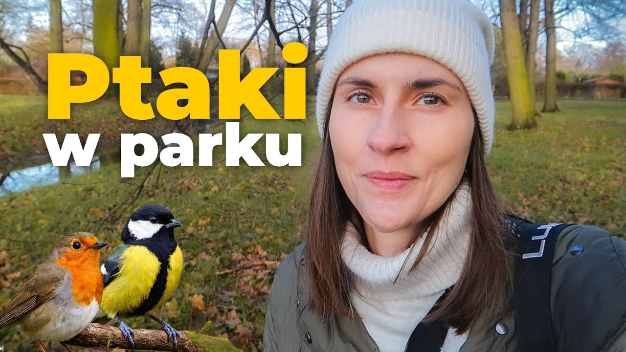 Co możesz zobaczyć spacerując po parku? Birdwatching w mieście