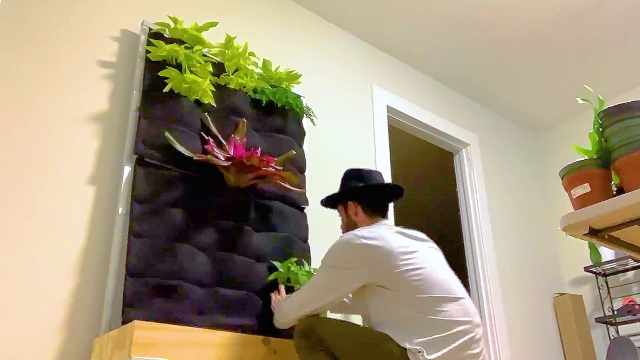 Florafelt Pockets Easy Living Wall