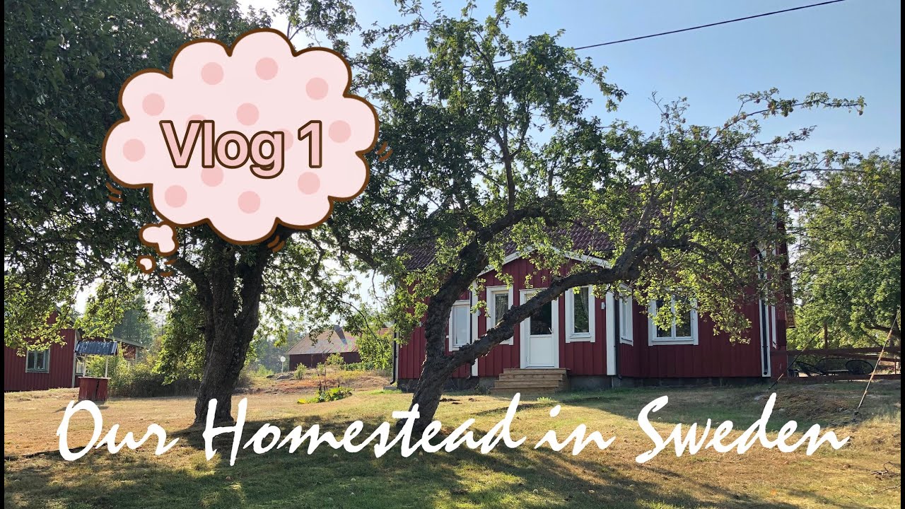 First vlog // Our Homestead in Sweden Vlog 1 // Maeryela
