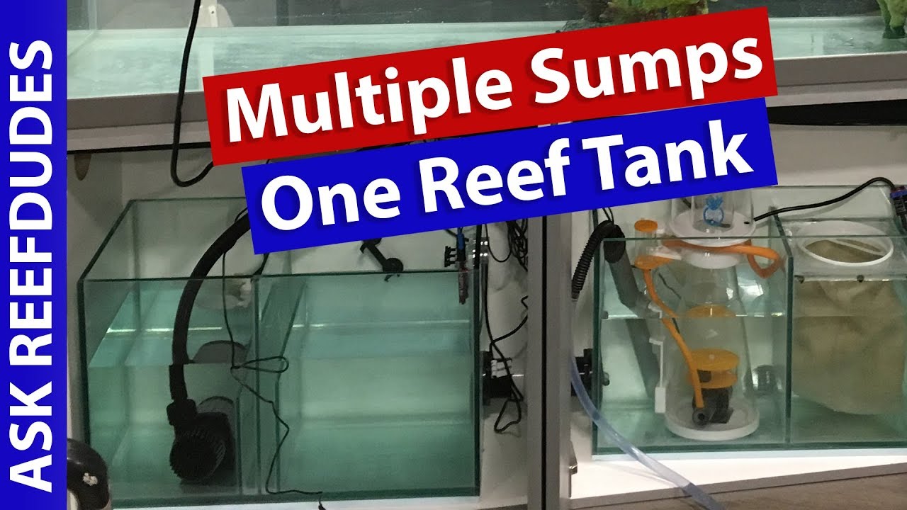 Multiple Sumps on a Reef Tank - AskReefDudes Dual Saltwater sump question