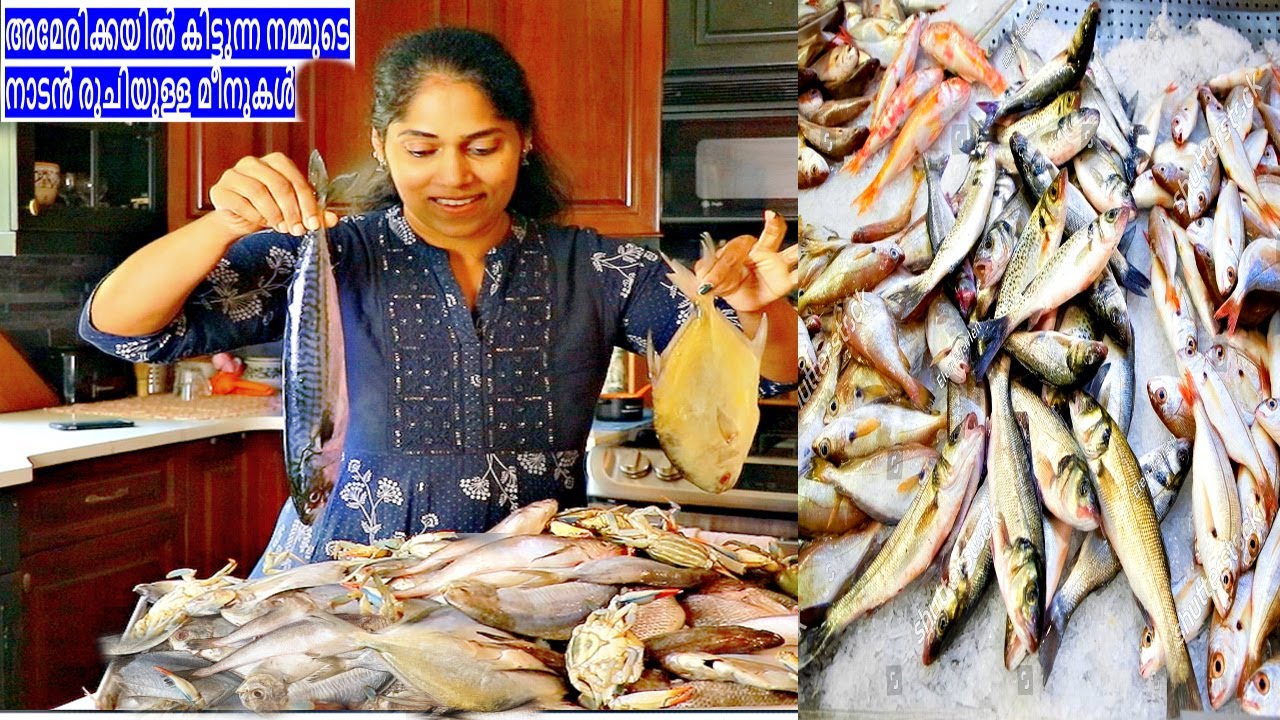 എൻ്റെ  അടുക്കളയിൽ നിറച്ചും മീൻ ആണ് ഇന്ന് 😲NEW YORK കിട്ടുന്ന നാടൻ രുചിയുള്ള മീനുകൾ FISH VARIETY VLOG
