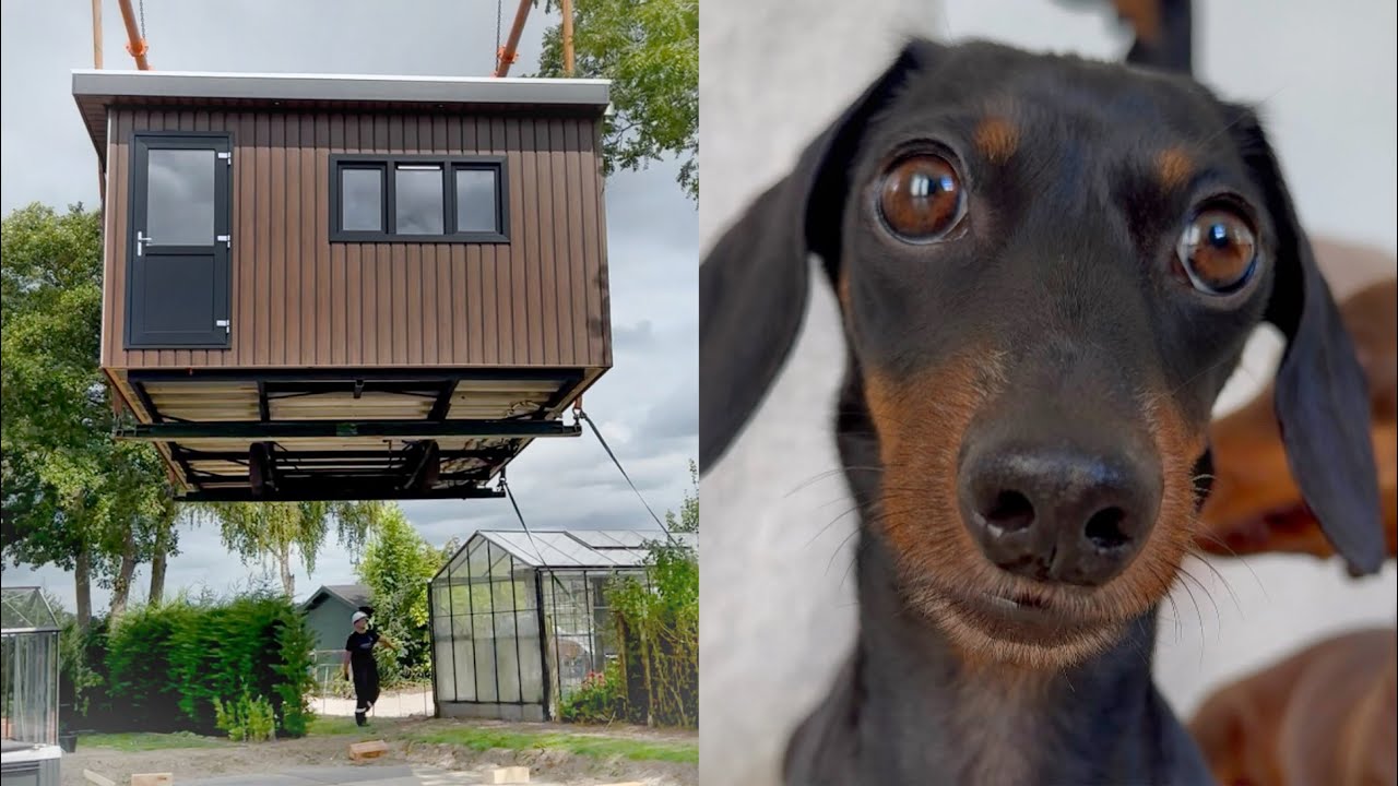 The tiny house is delivered. My mom is coming to live in our garden with a tiny house.