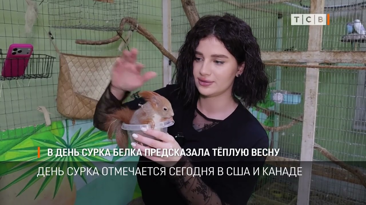 В день сурка белка предсказала тёплую весну