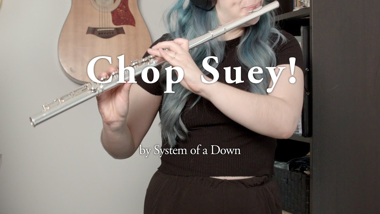Chop Suey! - System of a Down - Flute Cover *WOW*