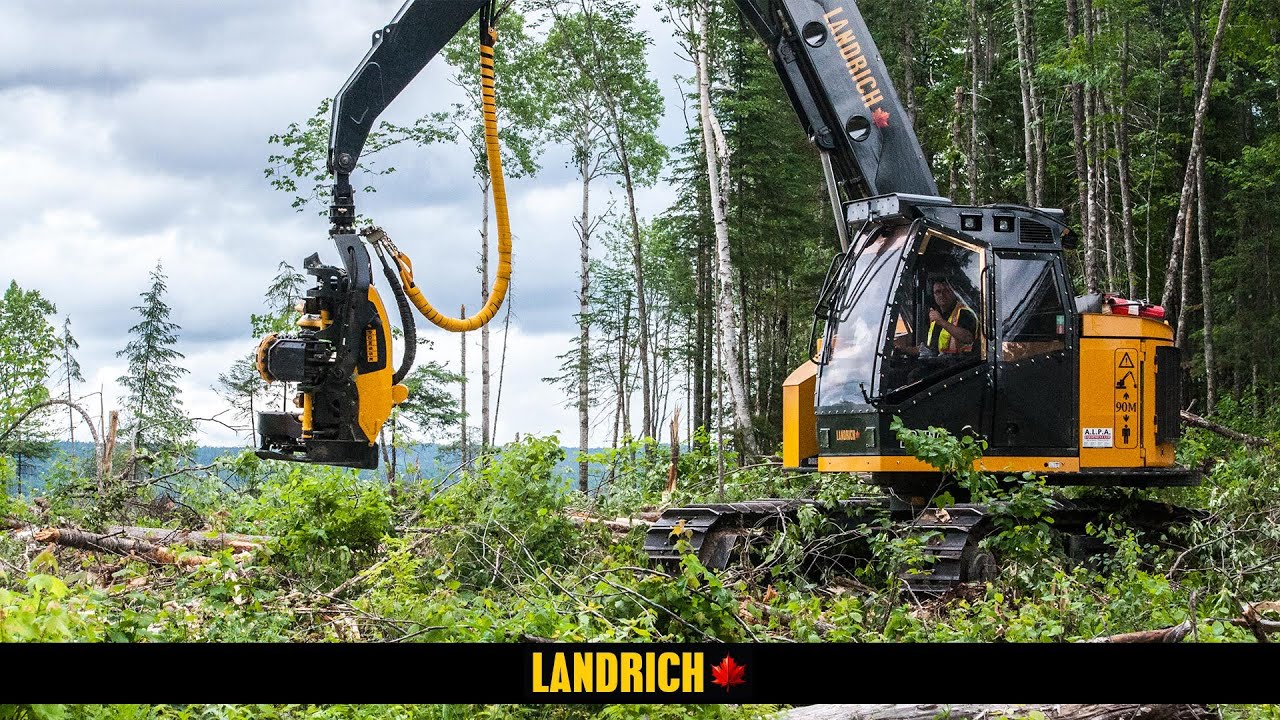 Landrich Track Harvester | 2016 Demo with Ponsse H8HD