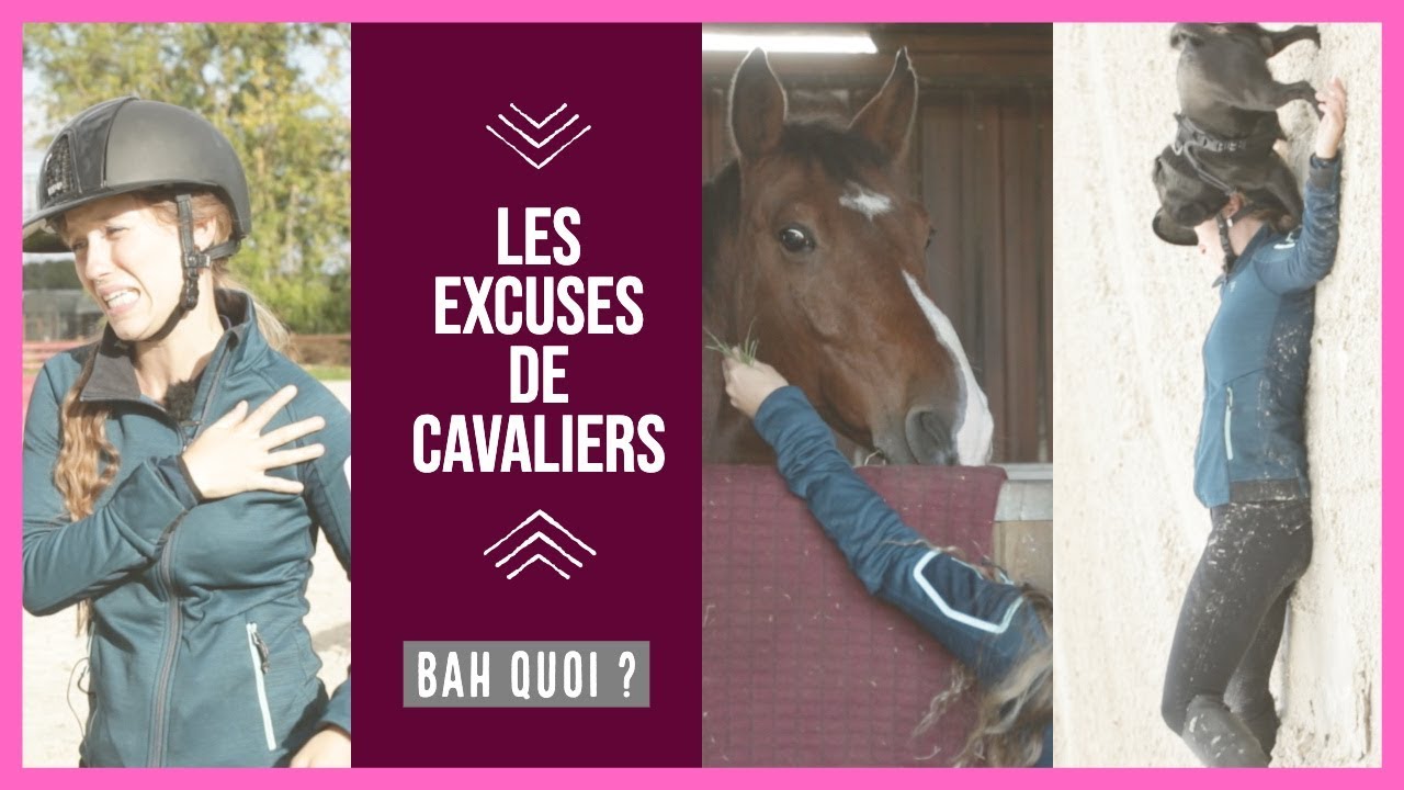 10 PIRES excuses ! 🙈🐴 I Georgette ou Taxi ? 🦄