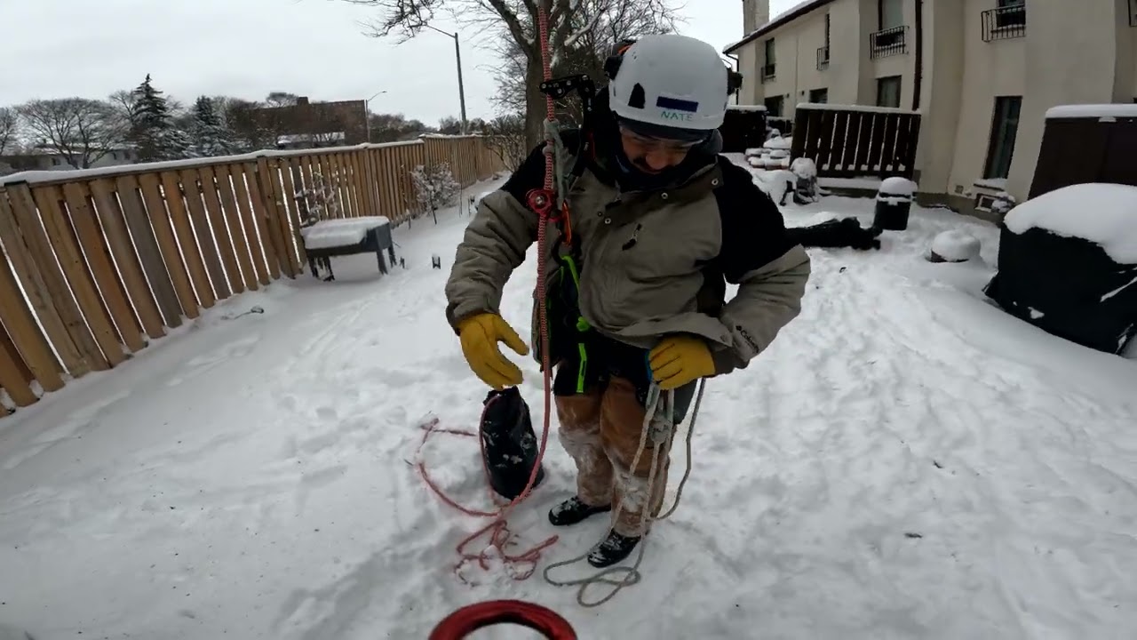 Winter Tree Climbing: Honey Locust Ascent (SRS to MRS Transition)