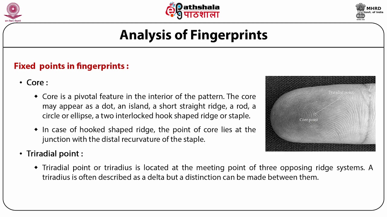 Anth P07 M19.Analysis of palm and finger prints