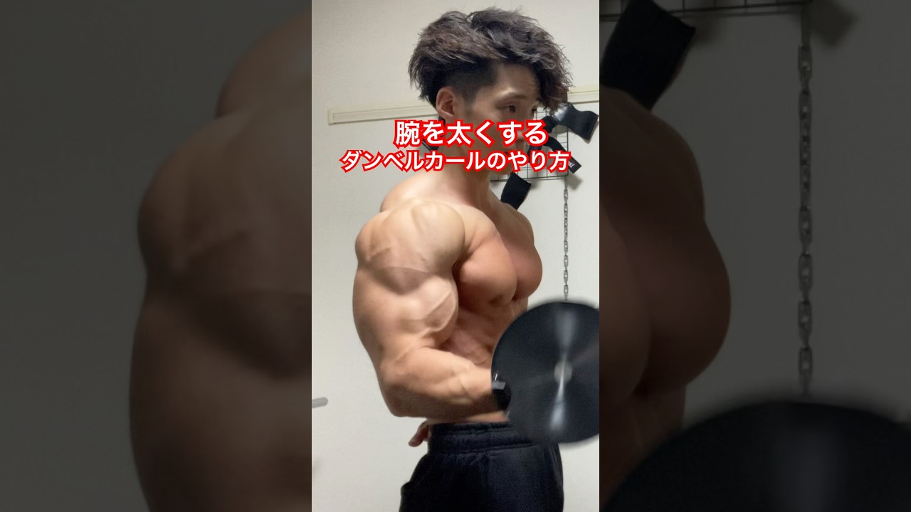 腕を太くするダンベルカール　#筋トレ #トレーニング #筋肉 #ホームトレーニー #ホームトレーニング #ボディビル #フィジーク