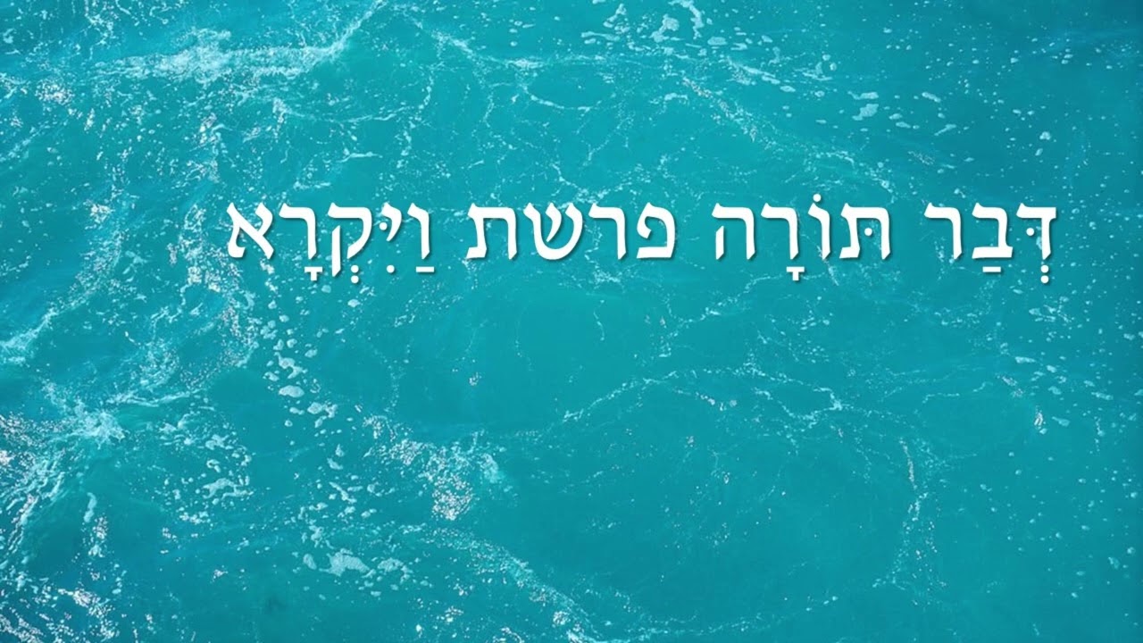 דבר תורה פרשת ויקרא