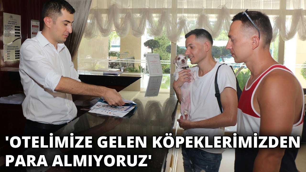 Bu otelde evcil hayvanlarla tatil serbest