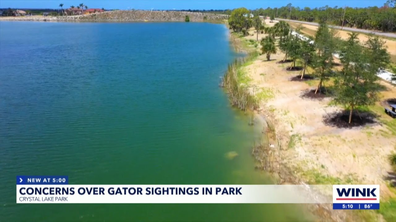 Cape Coral's Crystal Lake Park opens soon; gator safety concerns rise