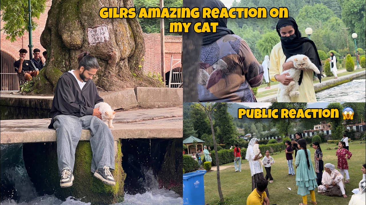 Kashmiri Girls Amazing Reaction On My Cat 😍 Public Reaction In Kashmir