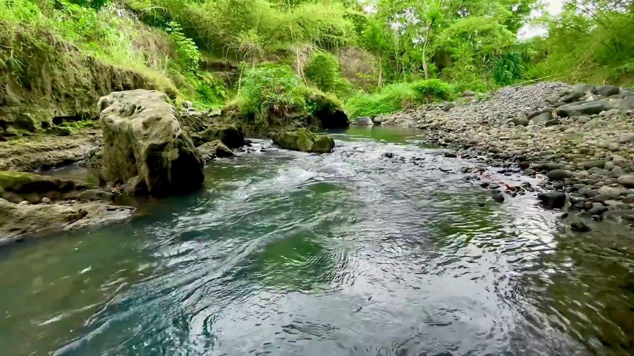 Soothing River Sound for Sleep Therapy, Stress Healing and Mind Balance