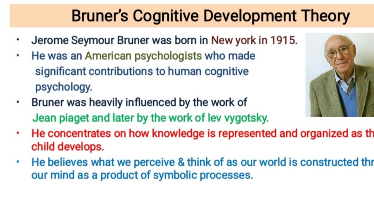 Bruner's cognitive Development Theory/CDP/for all Teaching exams