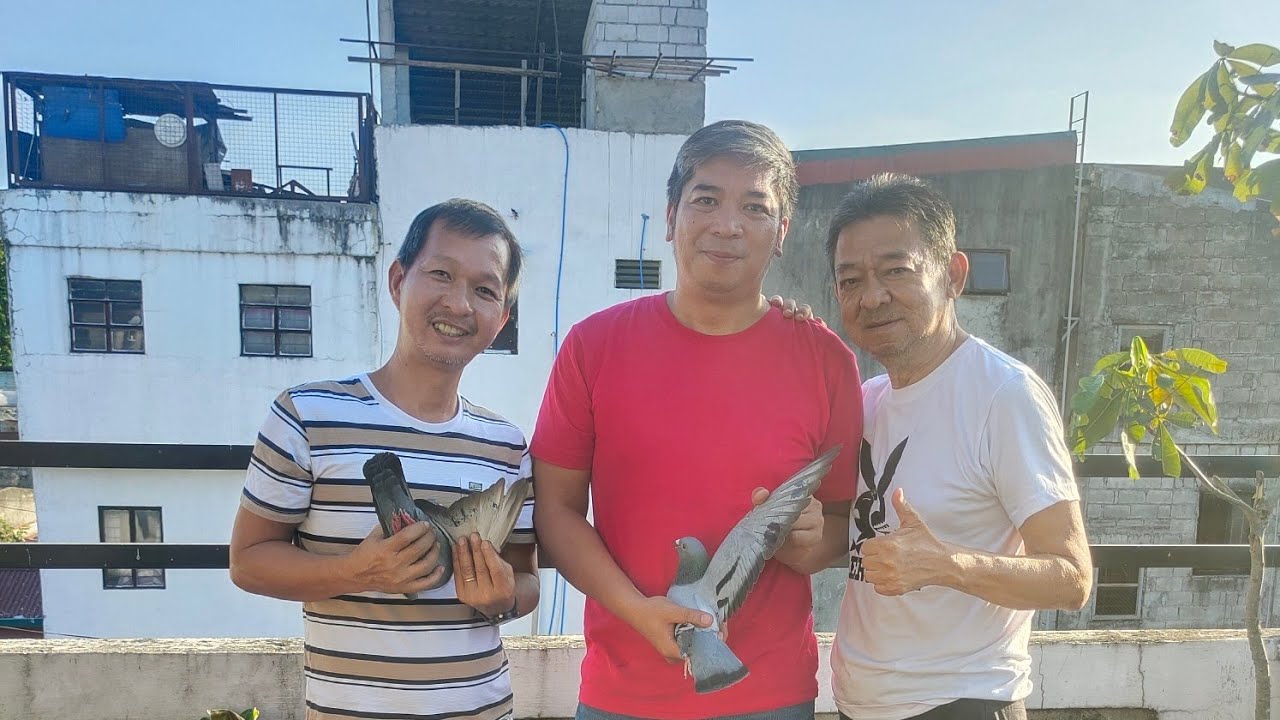 Day 1 mc Arthur clocker loft and birds inspection