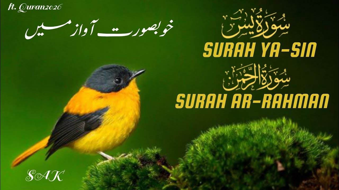 Beautiful Quran Recitation For Relax Your Mind | Surah Yaseen, Surah Rahman | Reciter SAK