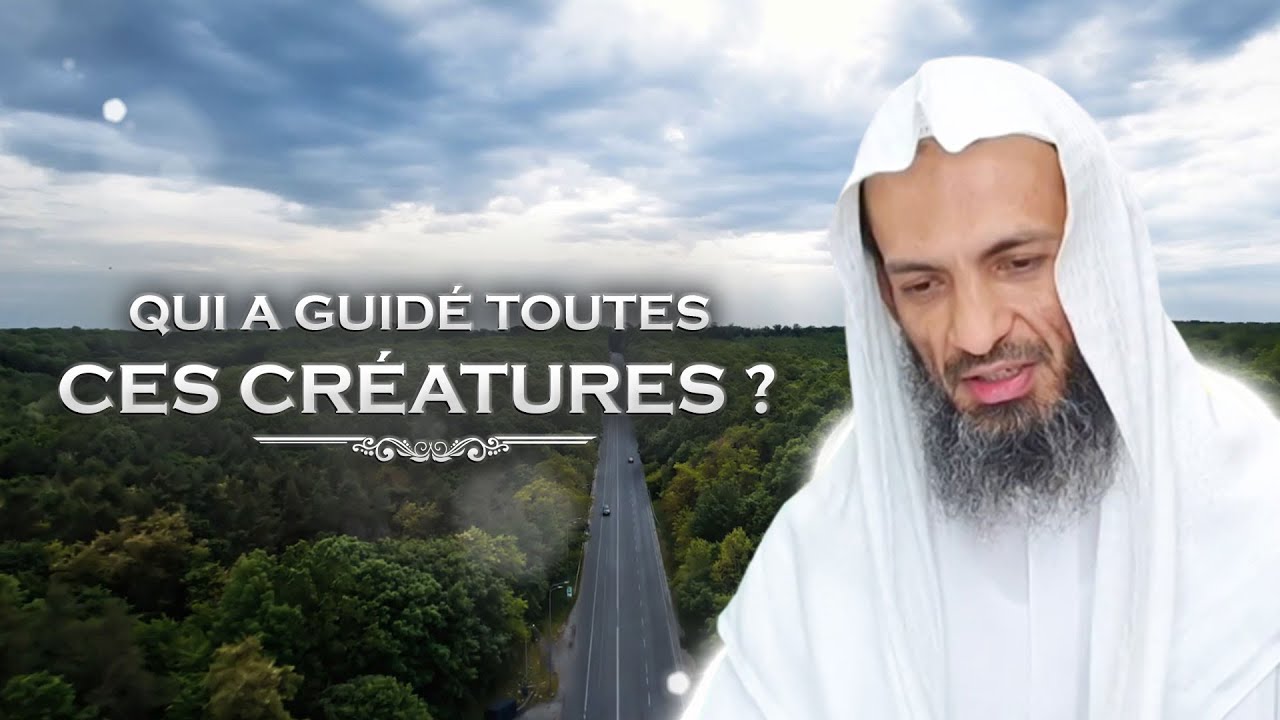 QUI A GUIDÉ TOUTES CES CRÉATURES ? - Shaykh Khalid Ismail
