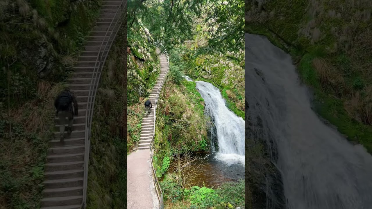 9 sch&ouml;ne Orte im Schwarzwald #sch&ouml;neorte #schwarzwald #wasserfall #reisen #shorts