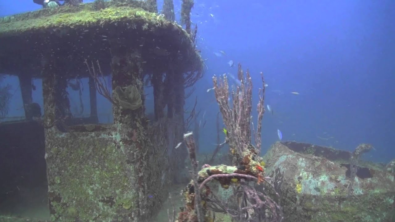 Utila Dive Festival - Day 4 - Wreck Dive